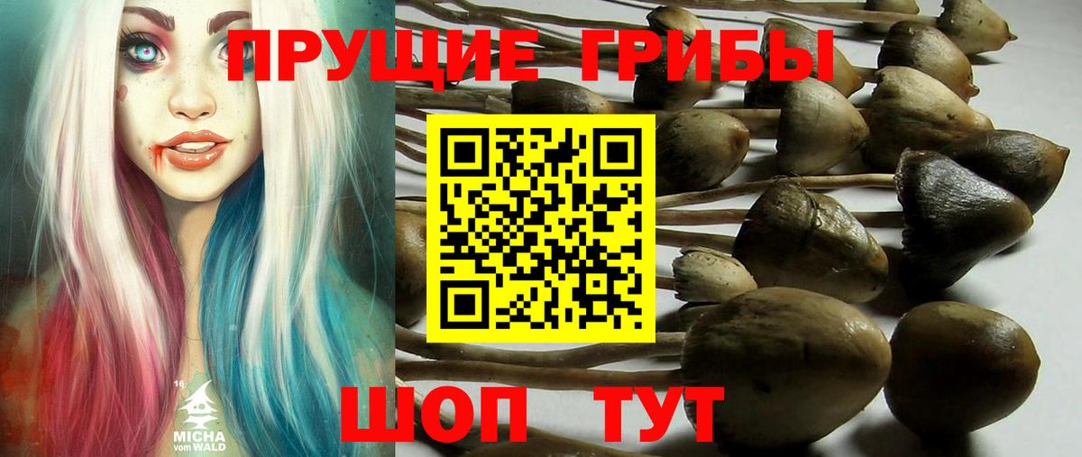 Галлюциногенные грибы мухоморы  Вход с VPN  Нижний Тагил 